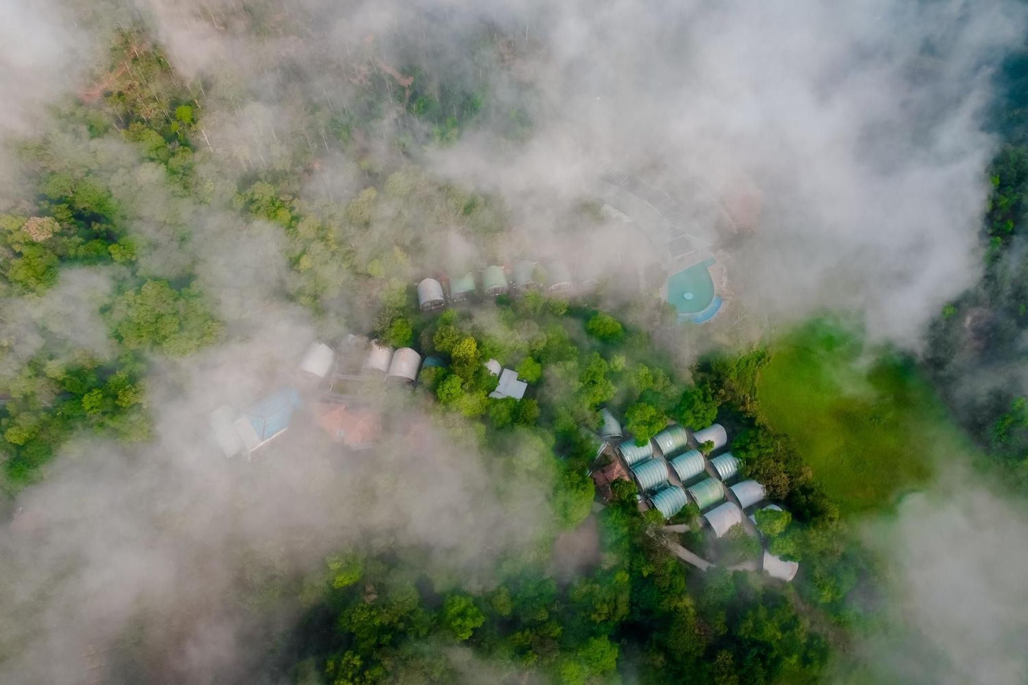 Mookanana Jungle Resort And Spa Hassan Buitenkant foto