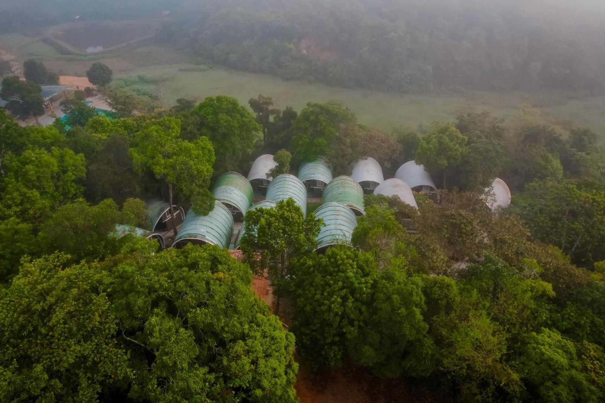 Mookanana Jungle Resort And Spa Hassan Buitenkant foto